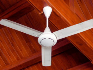 ceiling fan electricity use