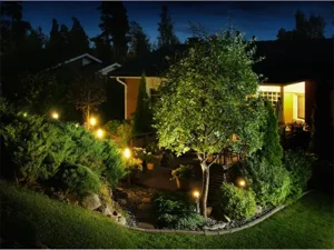 Beautifully lit backyard with outdoor landscape lighting installed by Tampa Mister Sparky electricians.